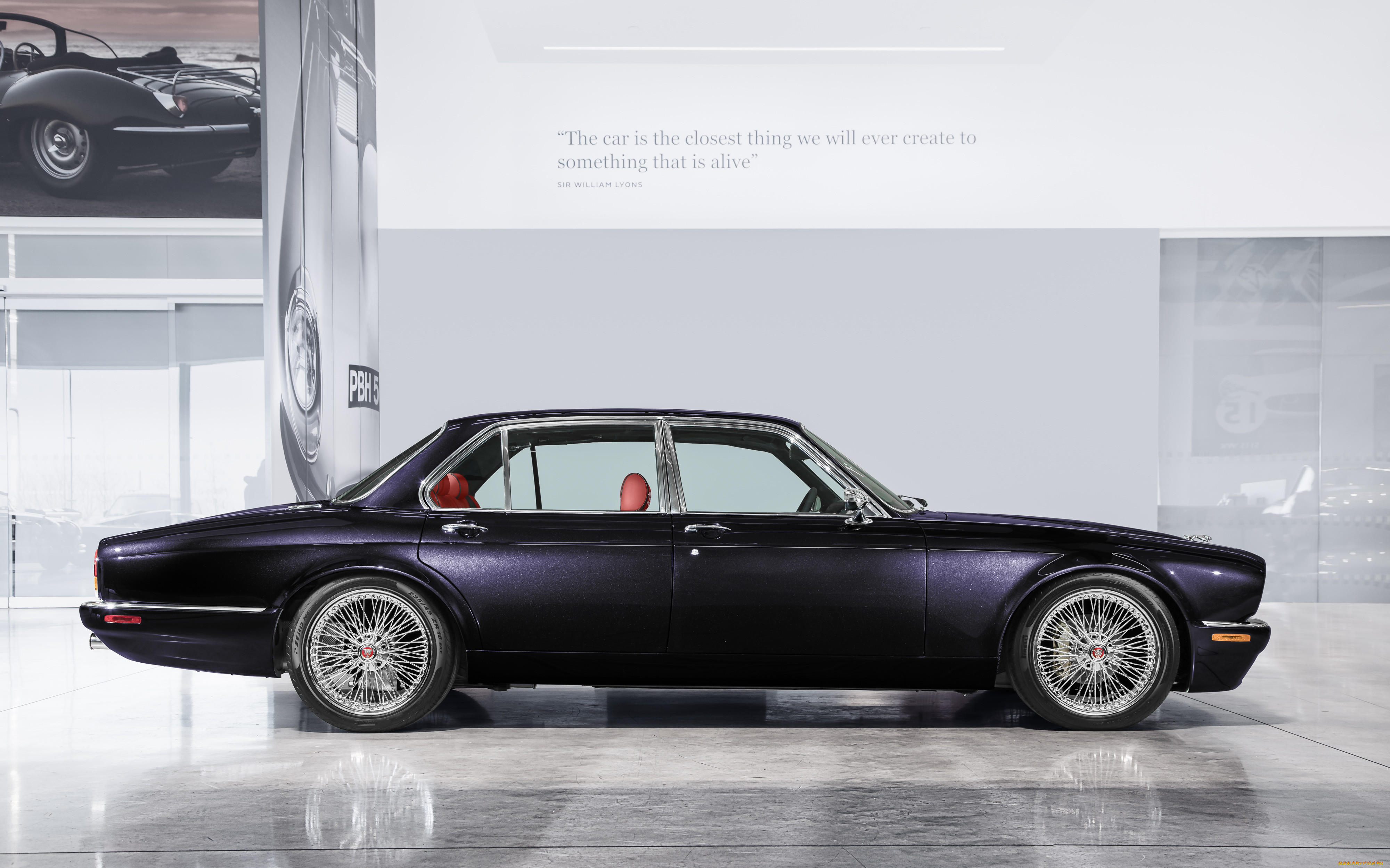 , jaguar